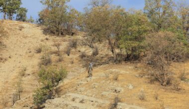 New era, next steps in terror-free Türkiye after PKK withdrawal