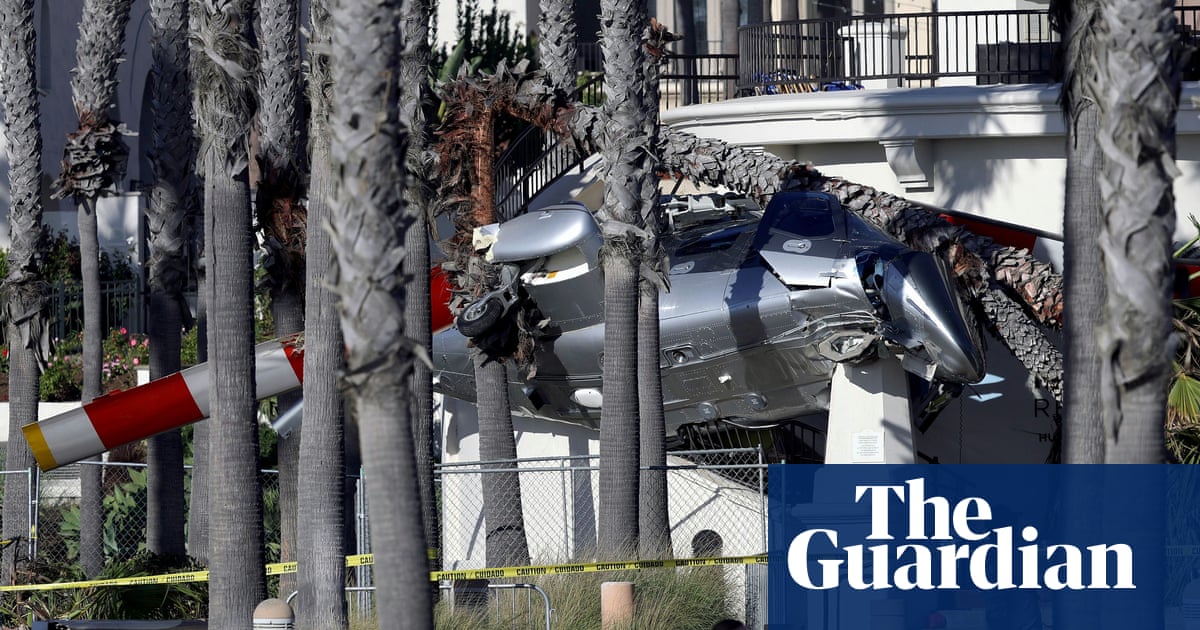 Helicopter spins out of control into palm trees at popular California beach | California
