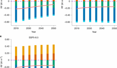 Reply to: Uncertain climate effects of anthropogenic reactive nitrogen