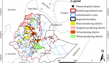 Spatiotemporal climatic signals in cereal yield variability and trends in Ethiopia
