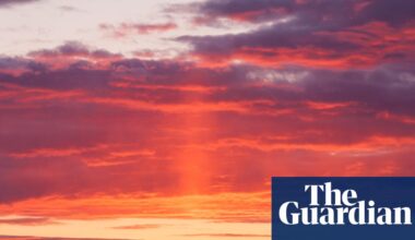 Greenpeace threatens to sue crown estate for driving up cost of offshore wind | Energy industry