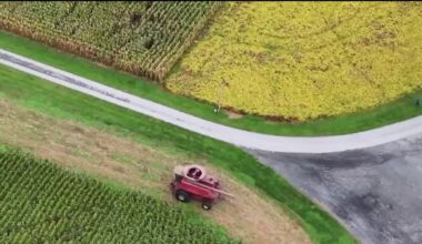 Maryland soybean farmers lose business from China amid trade war – NBC4 Washington