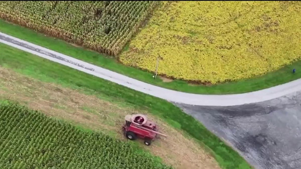 Maryland soybean farmers lose business from China amid trade war – NBC4 Washington