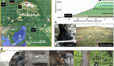 Impacts of the Millennium Eruption and climate change on vegetation species composition of Changbaishan