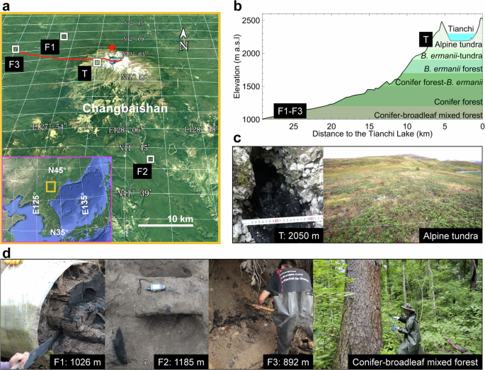 Impacts of the Millennium Eruption and climate change on vegetation species composition of Changbaishan