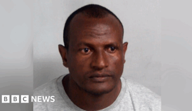 Migrant sex offender released due to 'human error', says Lammy