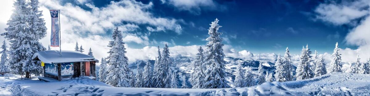 Snow and trees in SkiWelt, Austria Snow and trees in SkiWelt, Austria
