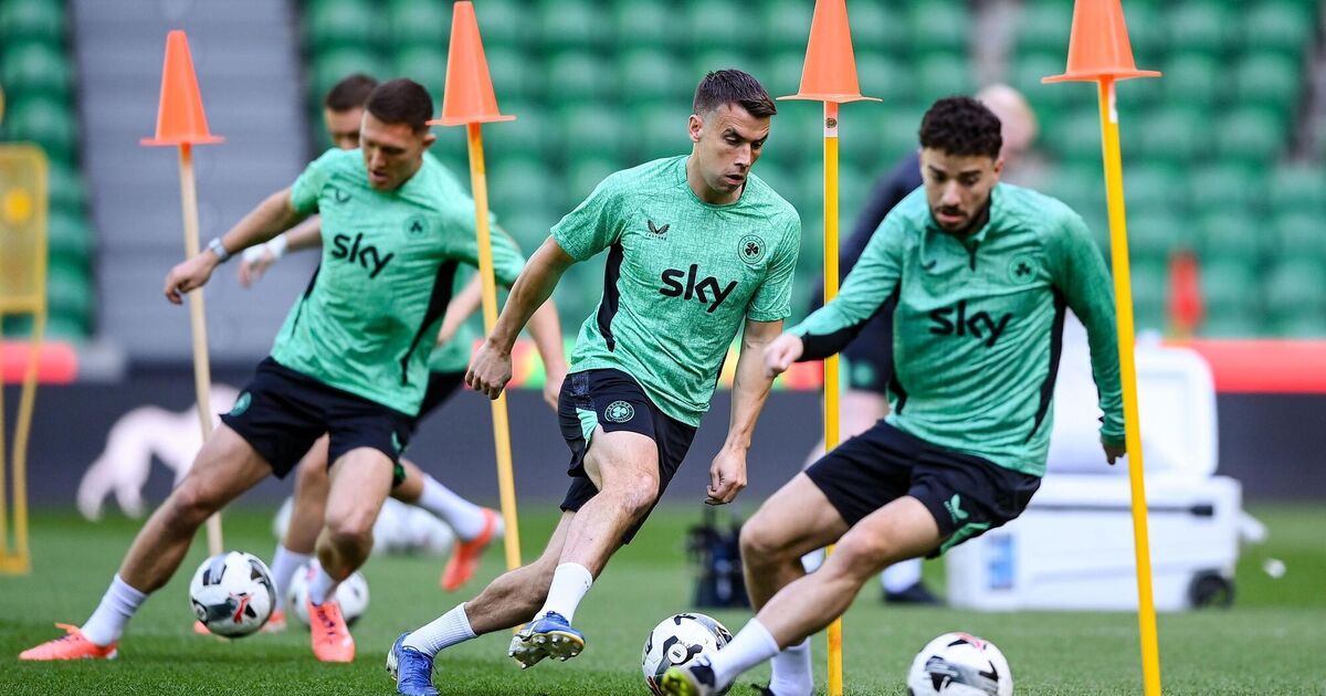 Whatever about a miracle, Ireland must strive to siphon measure of respectability from Lisbon