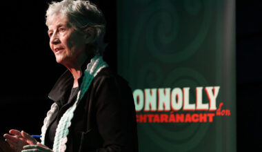 'Reluctant election' shows off two sides of Ireland's anti-establishment sentiment