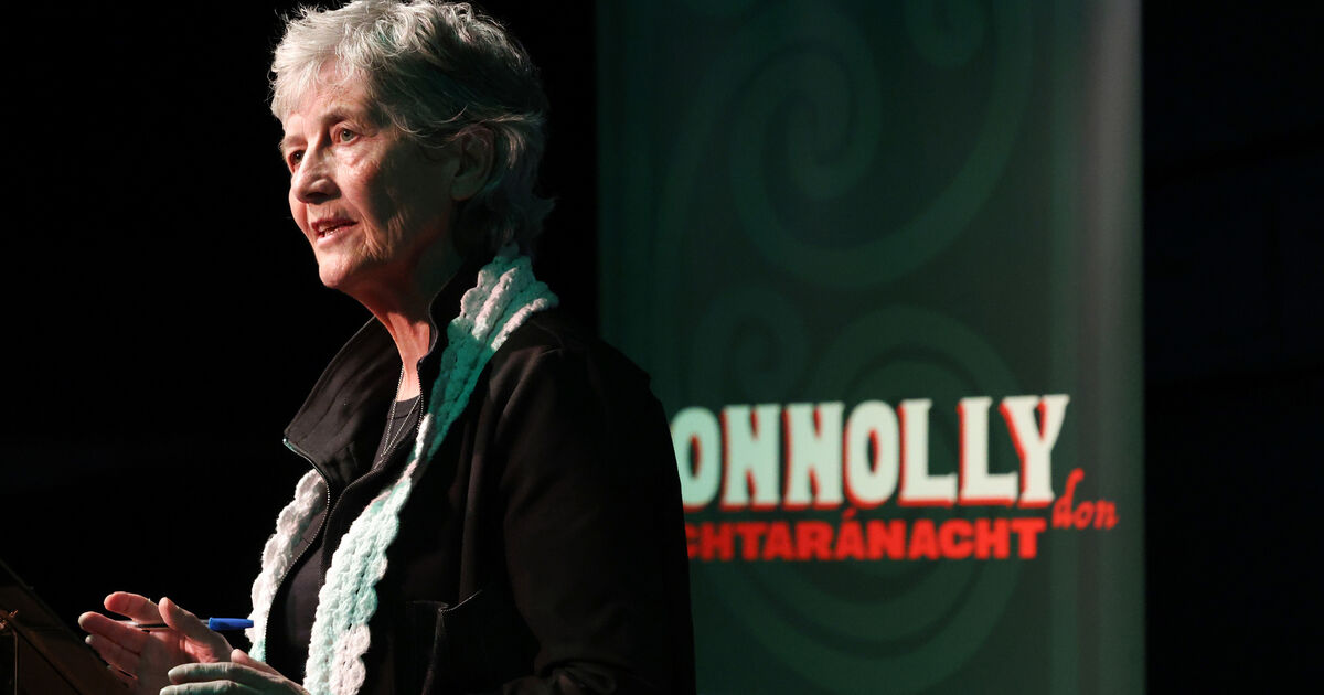 'Reluctant election' shows off two sides of Ireland's anti-establishment sentiment