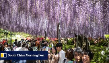 Japan’s plans to relax Chinese visa rules stall over hawkish shift, overtourism fears