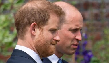 Prince Harry brings William and Kate into legal battle over privacy claims, Daily Mail phone hacking case