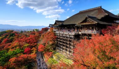 The what, where and when of Japan’s autumn leaves