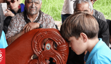Historic waka 'Hinepāpara' emerges from Far North's Ōmahuta Forest