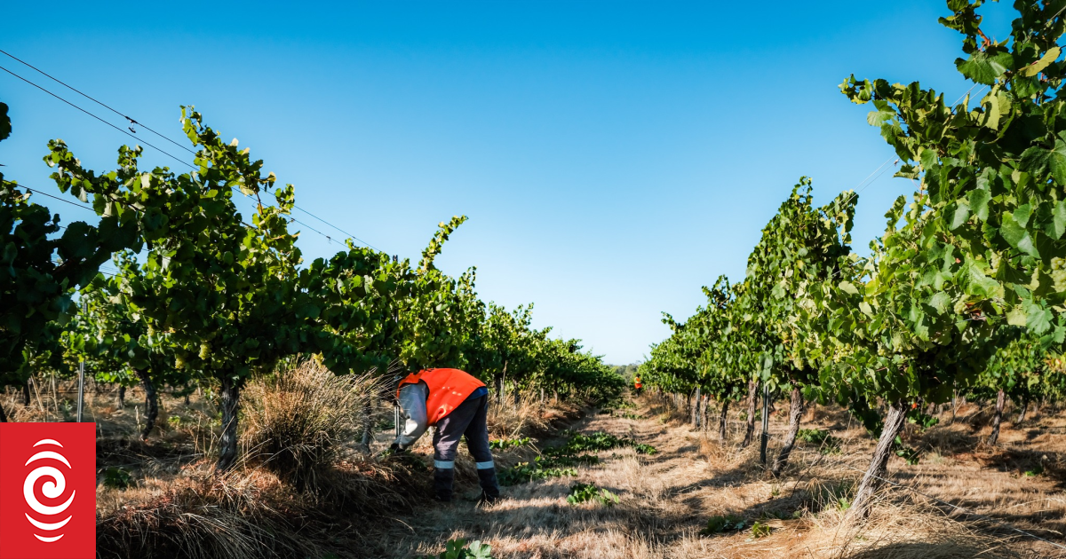 Fiji NGO says govt shares blame for seasonal workers' misbehaviour overseas
