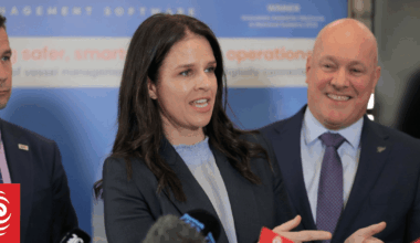 Applications flood in for new parent visa, amid residence review