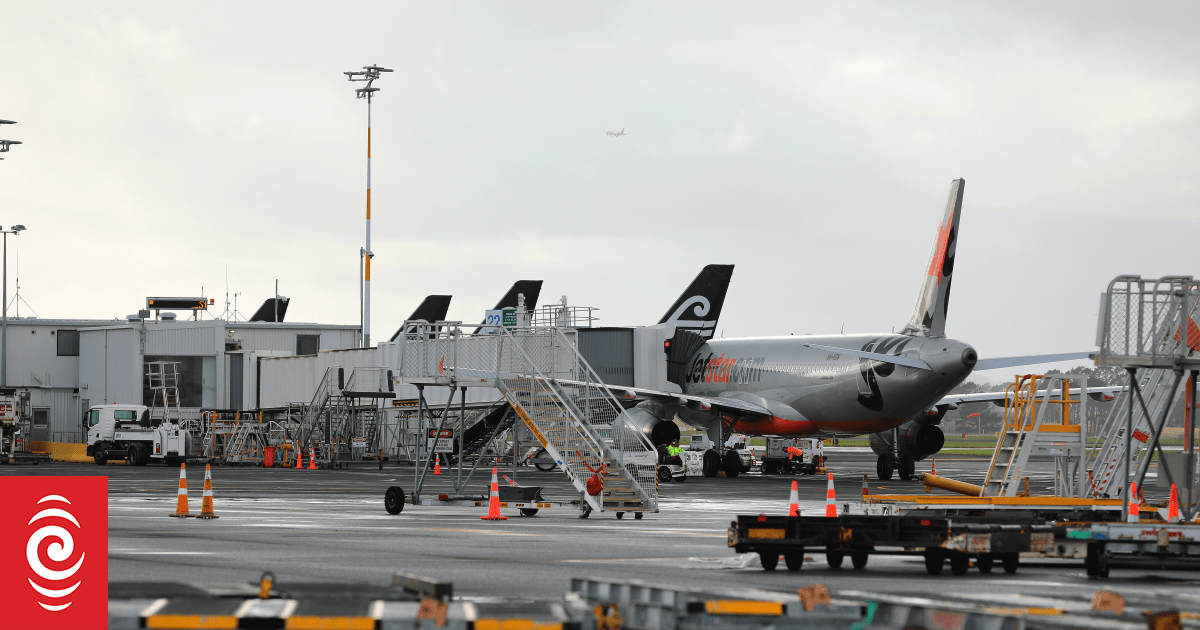 Airport charges: High Court appeal dismissed but legal action continues