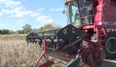 Farmers in Michiana await conversation on soybean trade war at Trump-Xi summit