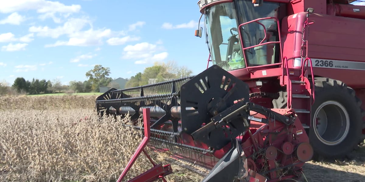 Farmers in Michiana await conversation on soybean trade war at Trump-Xi summit
