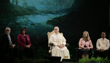 Pope: God will ask us if we have cared for our common home - Vatican News