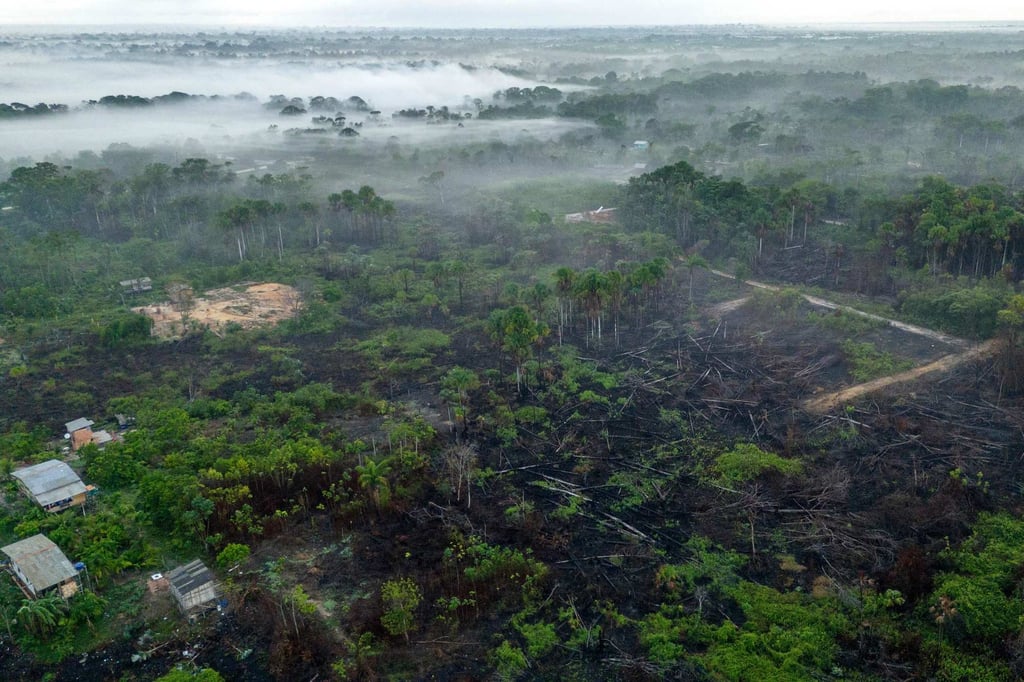 In 2024, forest fires ravaged millions of hectares of the Brazilian Amazon. File photo: AFP In 2024, forest fires ravaged millions of hectares of the Brazilian Amazon. File photo: AFP