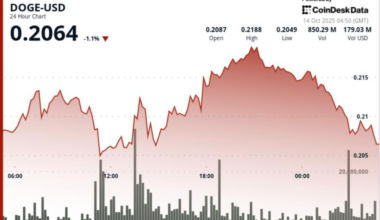 Faces Rejection as Dogecoin Treasury Firm Eyes Public Listing