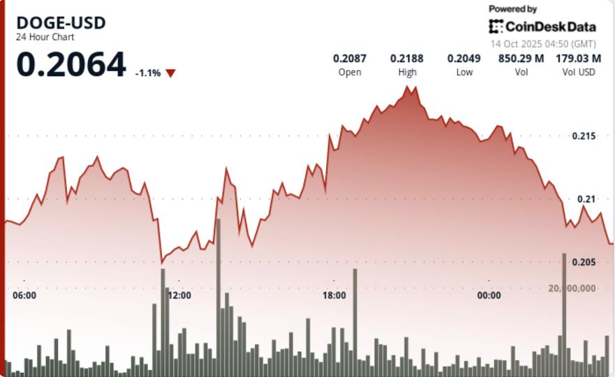 Faces Rejection as Dogecoin Treasury Firm Eyes Public Listing