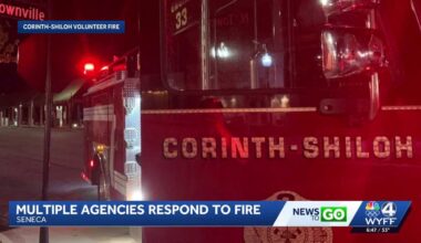 Fire damages a downtown Seneca business