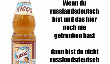 Ich🇷🇺🇩🇪iel