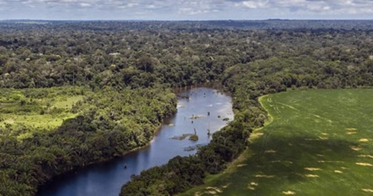 Some carbon projects are actually harmful to climate; study shows how to avoid that | Newsroom