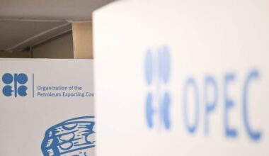 OPEC+ to increase oil output by 137,000 barrels per day in November