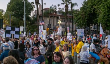 Thousands Join Downtown Political Demonstration