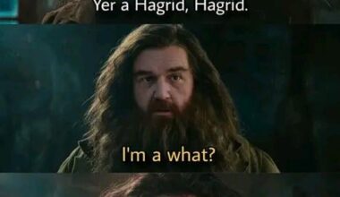 A Hagrid, Hagrid talking to Hagrid, about Hagrid, Hagrid