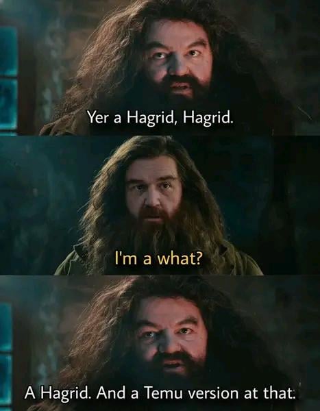 A Hagrid, Hagrid talking to Hagrid, about Hagrid, Hagrid