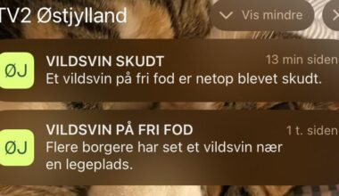 En historie på 2 sætninger