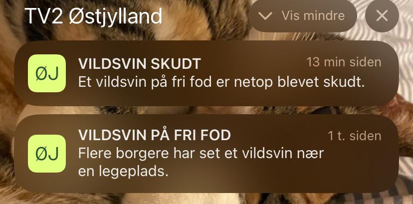 En historie på 2 sætninger