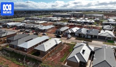 NSW planning overhaul removes corruption and environment safeguards, legal experts say
