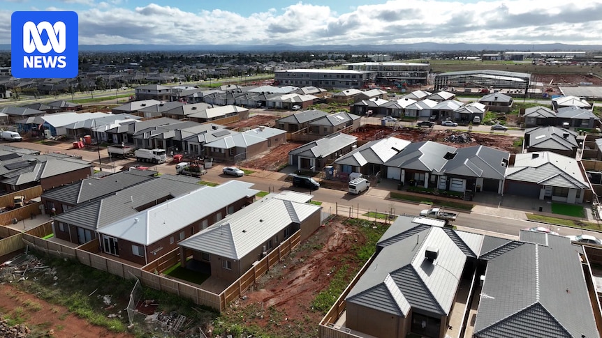 NSW planning overhaul removes corruption and environment safeguards, legal experts say