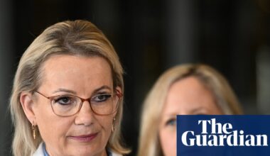 Sussan Ley faces emboldened conservative backbench after Hastie’s resignation, Liberal MPs warn | Liberal party