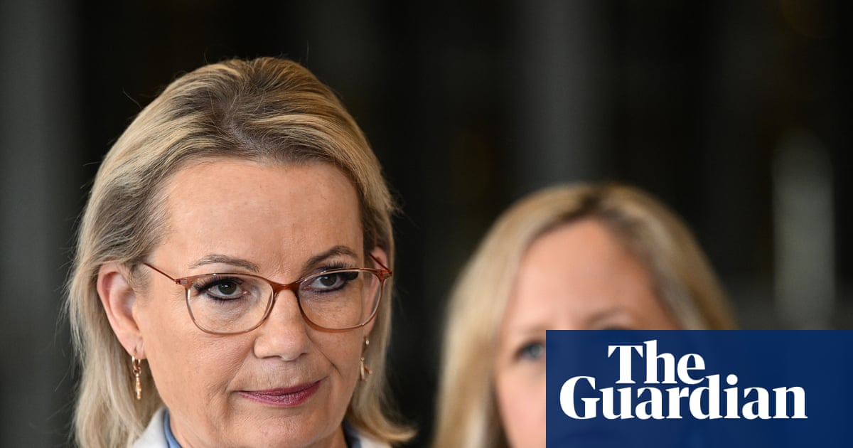 Sussan Ley faces emboldened conservative backbench after Hastie’s resignation, Liberal MPs warn | Liberal party