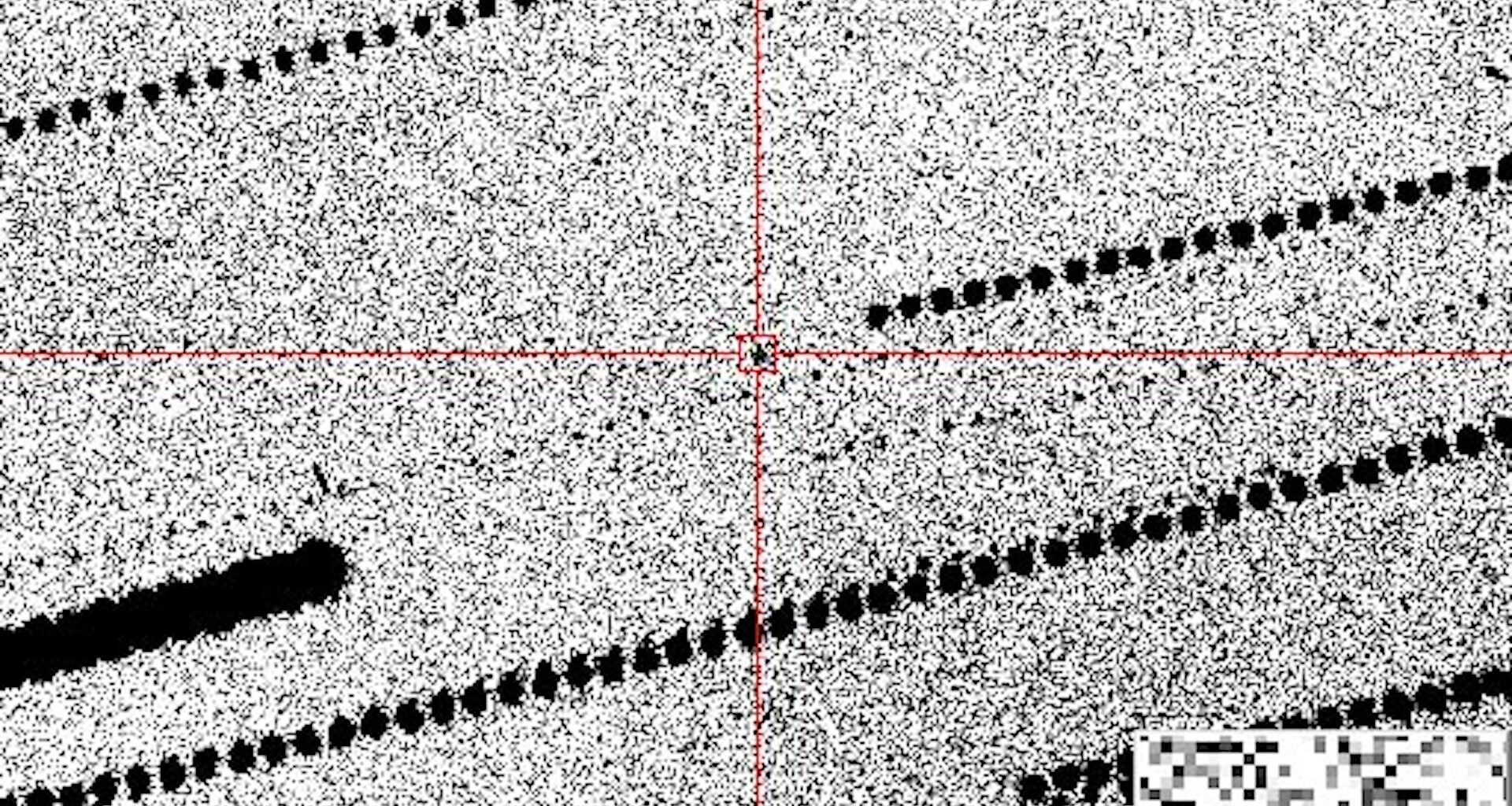 Giraffe-size asteroid zooms past Earth closer than a satellite — and astronomers didn't catch it until hours after
