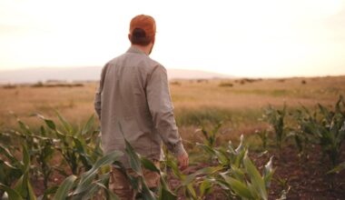 Quietly, Iowa Faces 'The Worst Economic Collapse' In The Country. The Irony? It’s Happening Under The Man They Voted In To Fix It