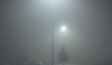 Dundee shrouded in fog