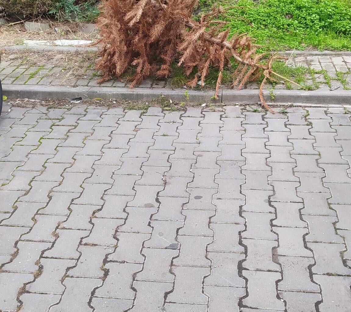 to uz je krapet moc ne ? :D