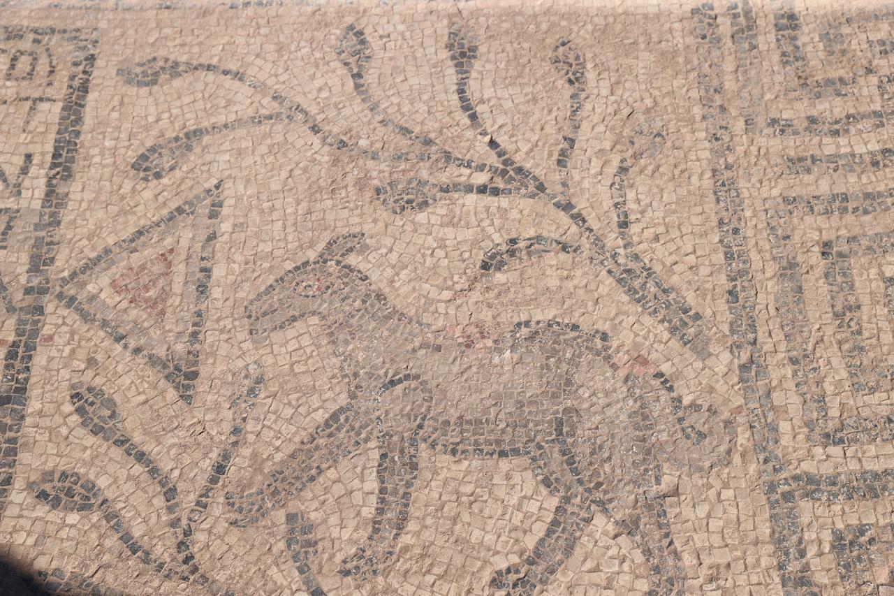 5th-century Greek inscribed mosaic discovered at Urfa Castle