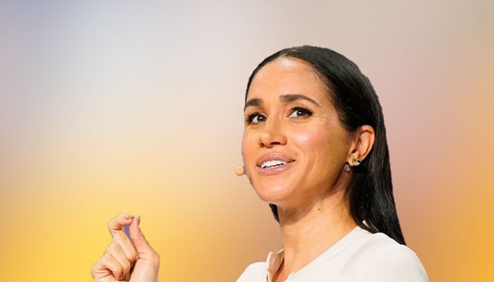 Meghan Markle gets called out for becoming a ‘fool’ on the world stage