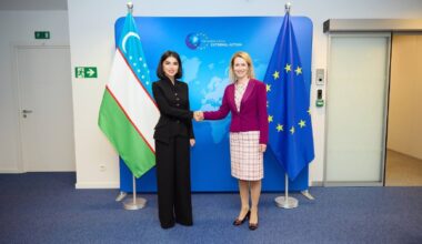 Uzbekistan, EU officials discuss regional issues and future collaboration