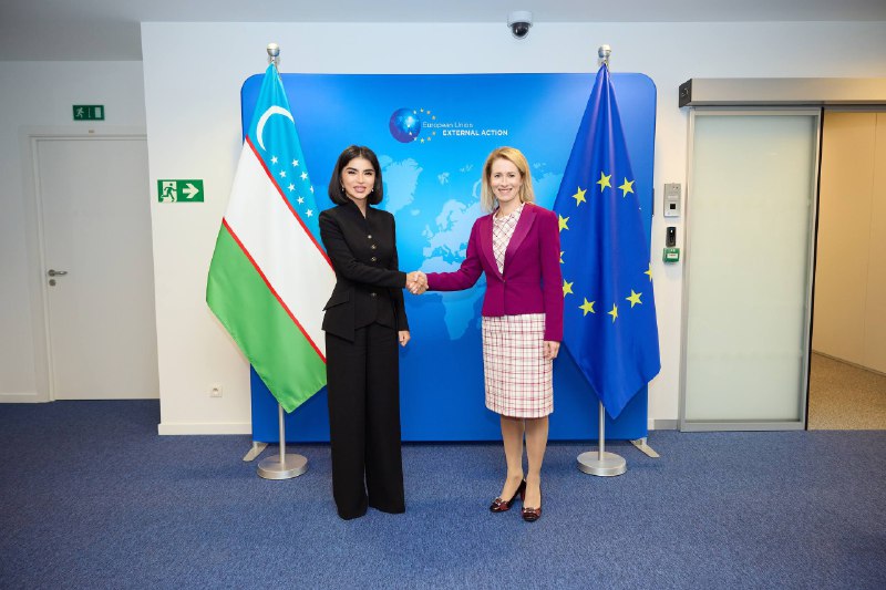 Uzbekistan, EU officials discuss regional issues and future collaboration