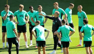 World Cup qualifying – The Irish Times