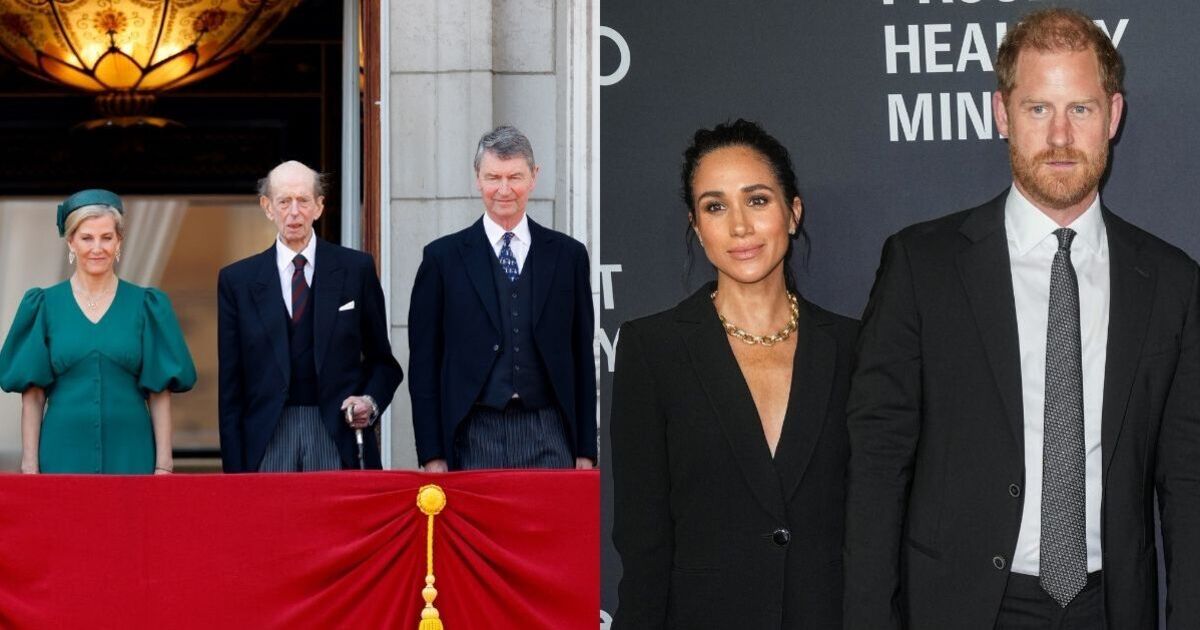 One royal's amazing work 'ignored' due to Prince Harry and Meghan feud | Royal | News